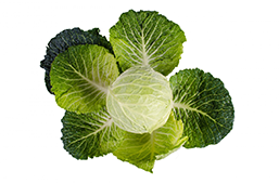 po2.png